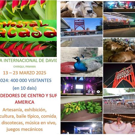 Pacasa Hostel San José de San José de David Eksteriør bilde