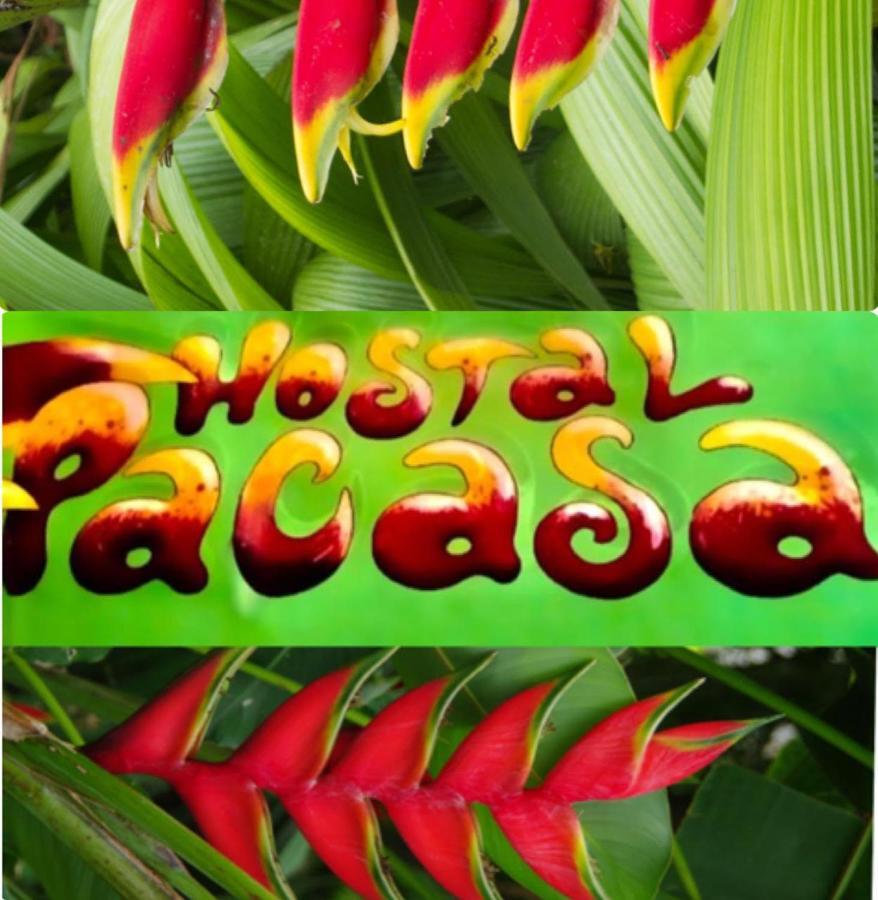 Pacasa Hostel San José de San José de David Eksteriør bilde