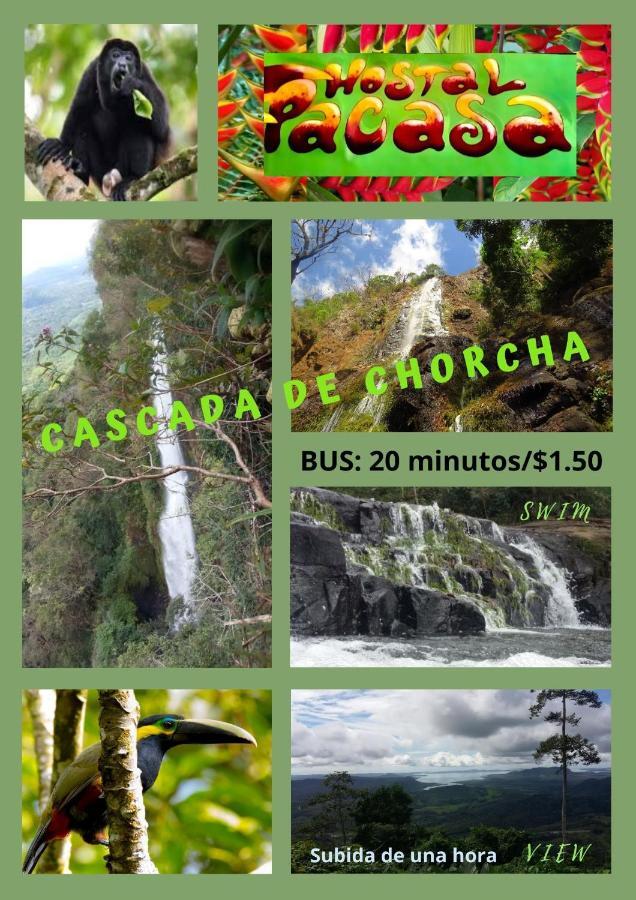 Pacasa Hostel San José de San José de David Eksteriør bilde