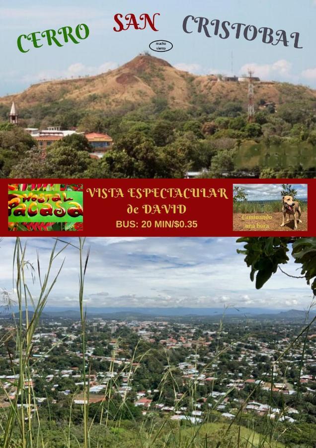Pacasa Hostel San José de San José de David Eksteriør bilde
